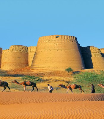 cholistan camel safari