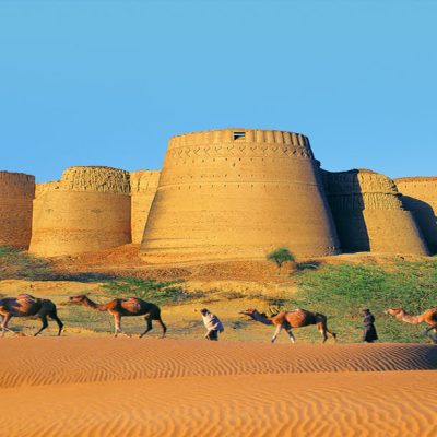 cholistan camel safari