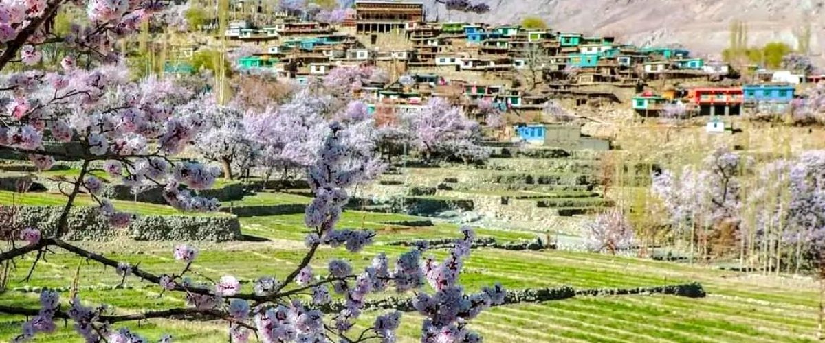 Machulu La K2 Viewpoint Trek Machulu Village Gilgit Baltistan Pakistan/ Machulu La trek/ K2 viewpoint trek/ short trek in Gilgit Baltistan/ K2 view trek / Chogholingsa trek tours pakistan