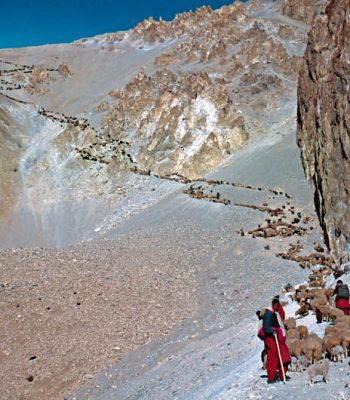 Shimshal-Pass-Trek