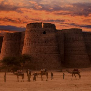 dearwar camel safari