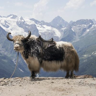 Kilik Mintaka Pass Trek