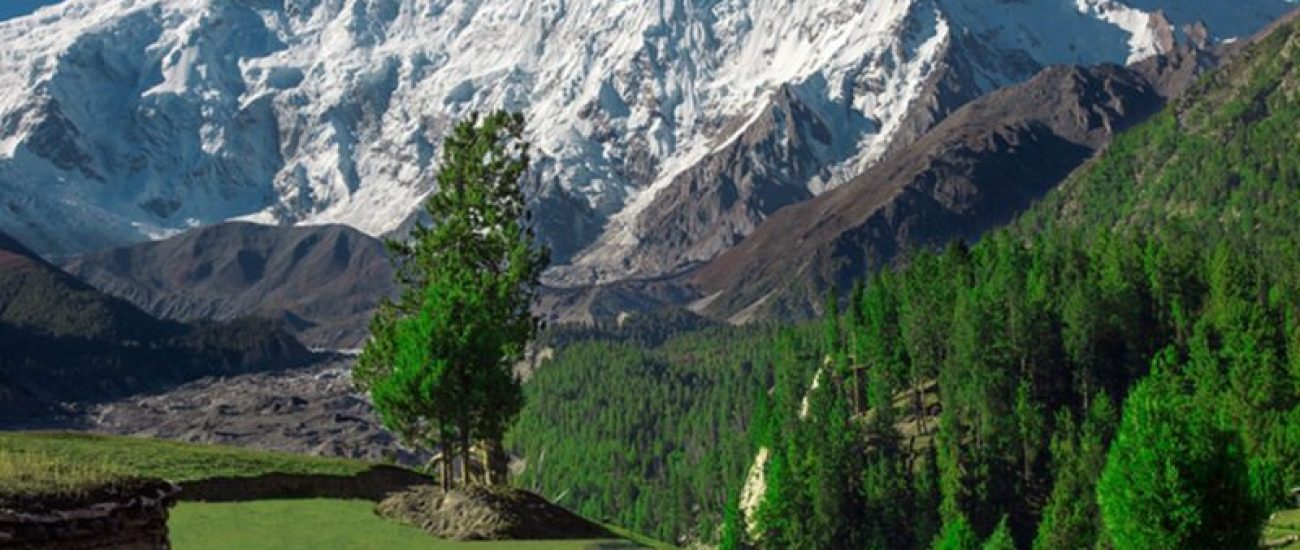Nanga Parbat expedition climbing Nanga Parbat Pakistan 8000m peaks mountaineering Pakistan Nanga Parbat tour expedition to Nanga Parbat adventure tourism Pakistan